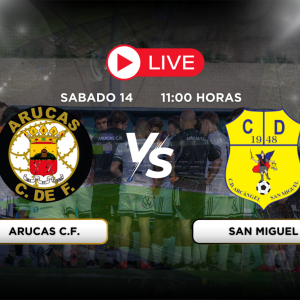 arucas cf vs san miguel